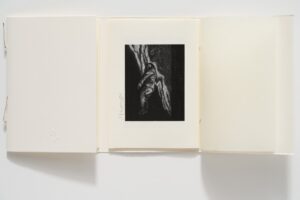 Ai Weiwei VENICE ELEGY 2018 Buch mit signierter Grafik. Erschienen im Format 22 x 15 cm mit einer Auflagenhöhe von 200 Exemplaren