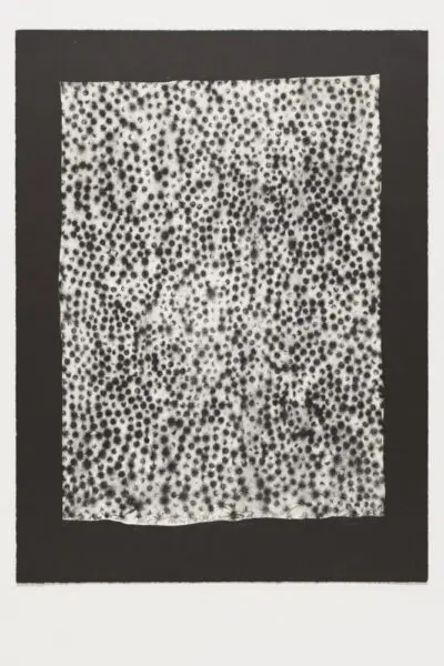 Uecker Günther Lithografie Permutation II. Diese Lithografie entstand im Jahr 1996 auf Büttenpapier im Format von 84,4 x 63 cm